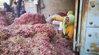 Sebanyak 165 ton bawang merah Probolinggo dilepas menuju negara Thailand. Kementerian Pertanian melalui Balai Karantina Pertanian Surabaya bersama PT. Cipta Makmur Sentausa melakukan ekspor perdana tahun 2019 bawang merah dari Probolinggo.