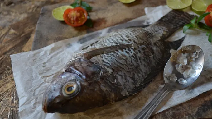 Foto: copyright Puji - Nandang Wuyung