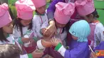 Citizen6, Pasuruan: Anak-anak dari Taman Kanak-kanak Raudhah, Pasuruan, sedang memanen buah Tomat, kemudian membuat jus buah Tomat dari hasil panen mereka. (Pengirim: Zahra Haidar)