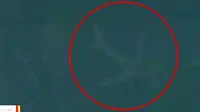 Pengguna internet bahkan meminta pihak berwenang menyelidiki foto pesawat yang tenggelam di dasar danau tersebut.