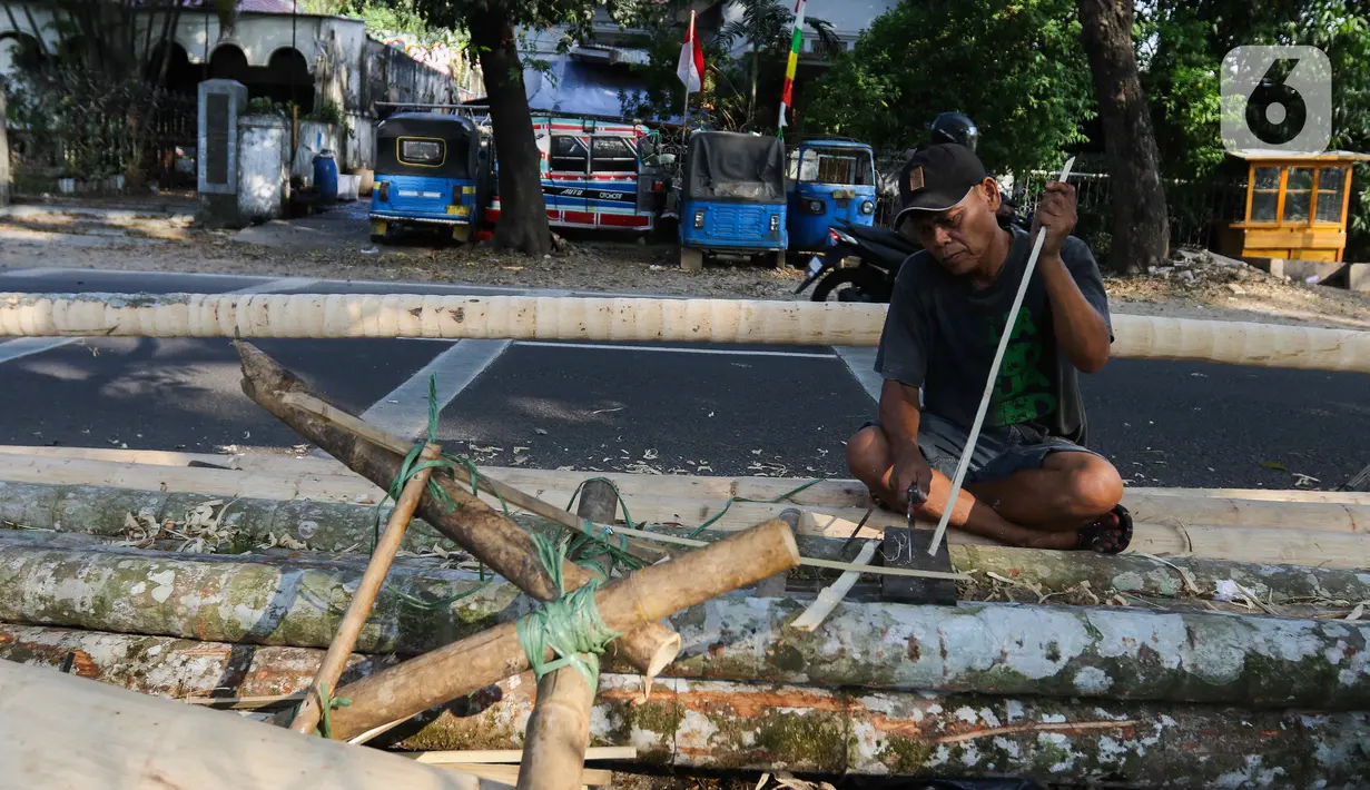 Pohon pinang rata-rata memiliki tinggi 6 sampai 8 meter. (Liputan6.com/Herman Zakharia)