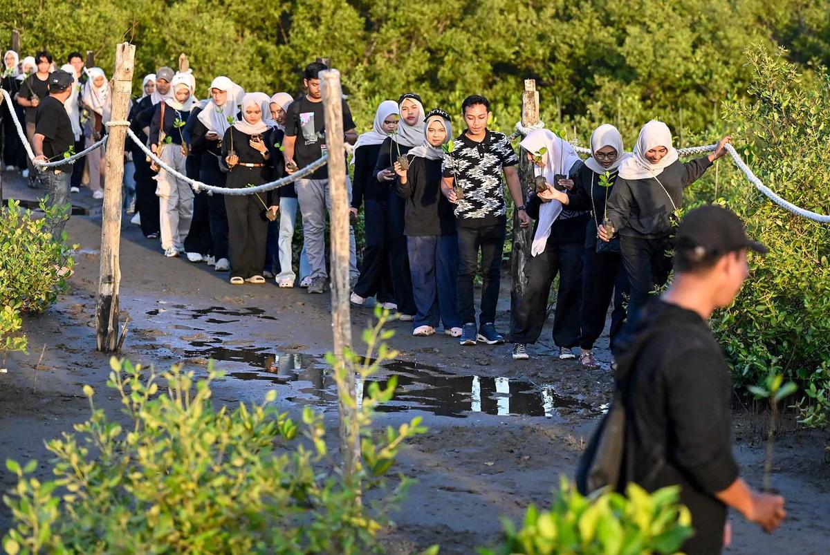 FOTO: Anak Muda Aceh Tanam Mangrove untuk Perkuat Ekosistem Pesisir