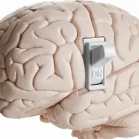 Aktifkan otak kamu agar kembali bekerja optimal dengan cara ini. 