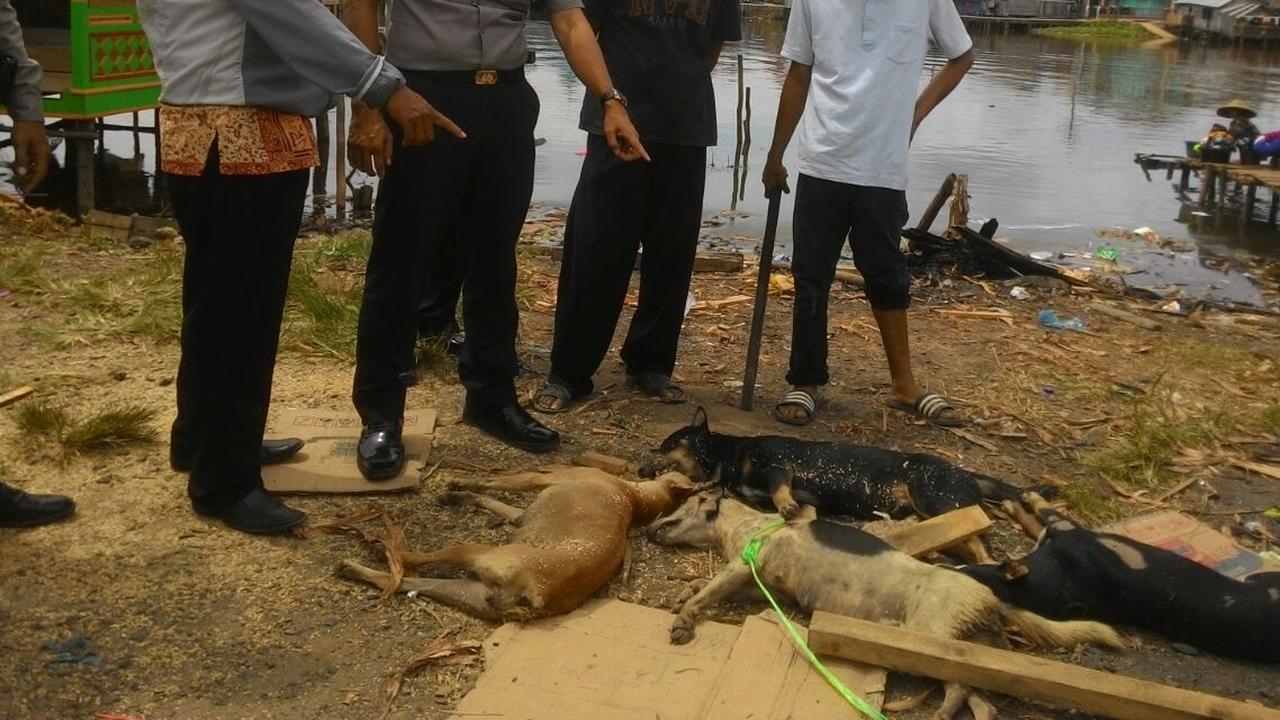 Kronologi Warga Berobat Usai Digigit Anjing, Malah Diminta Gigit Balik Anjingnya oleh Petugas Puskesmas
