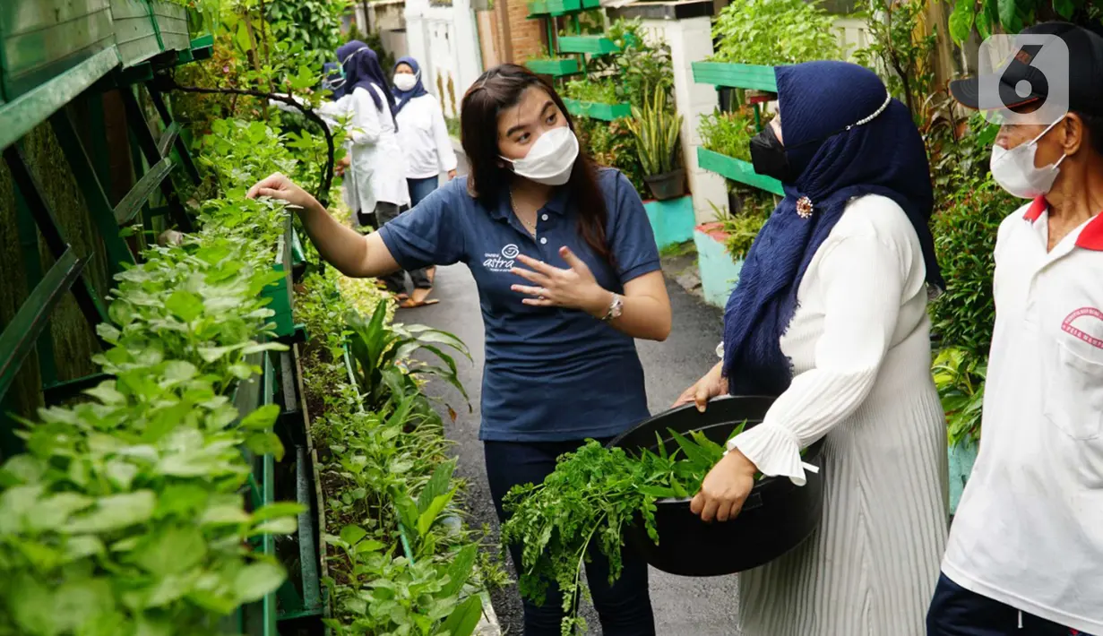 Karyawan Asuransi Astra berbincang dengan ibu-ibu kelompok wanita tani KBA Karina tentang urban farming di RW 01 Pela Mampang, Jakarta (23/12/2021). KBA Karina berdiri tahun 2015 wujud nyata komitmen Asuransi Astra untuk mengembangkan kampung berseri yang bersih dan hijau. (Liputan6.com/HO/Eko)