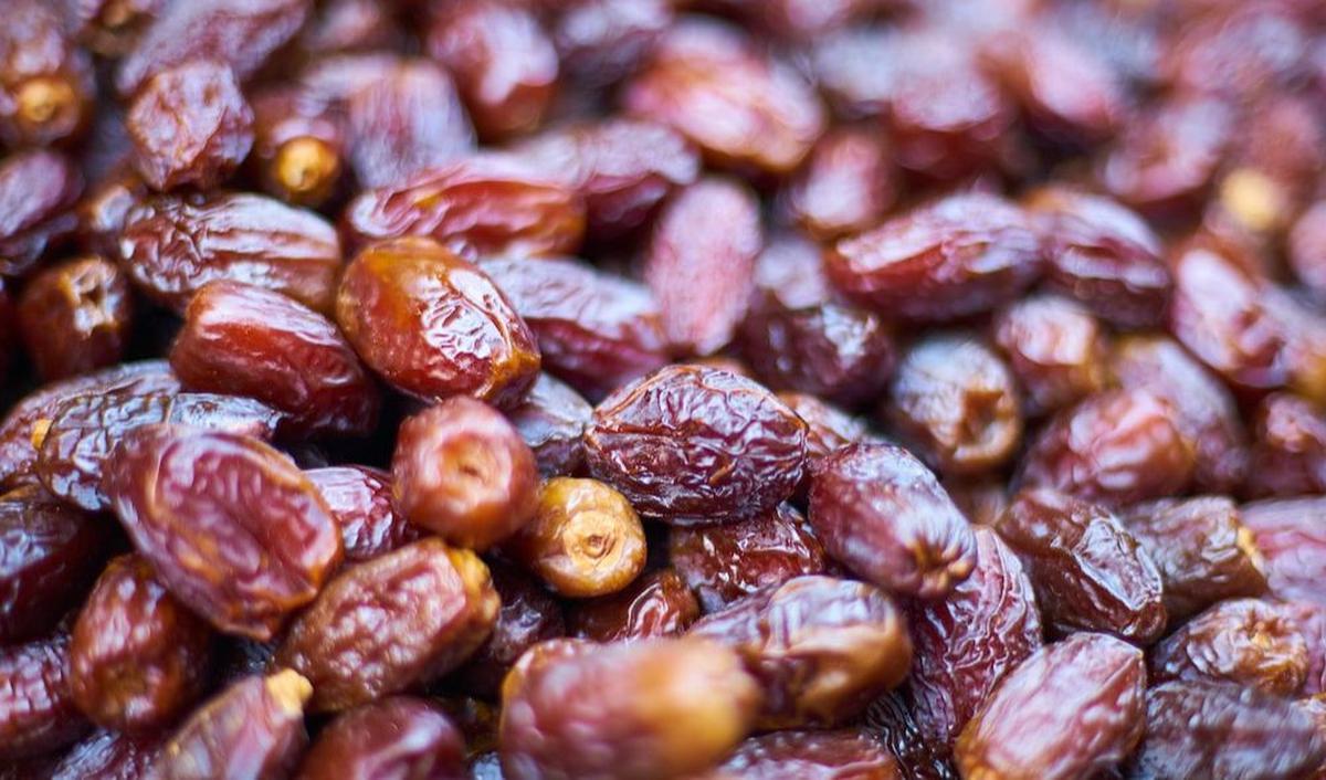 8. Kurma