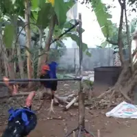 Kamu bisa bikin ayam peliharaamu bahagia dengan mainan yang satu ini. (Via: 