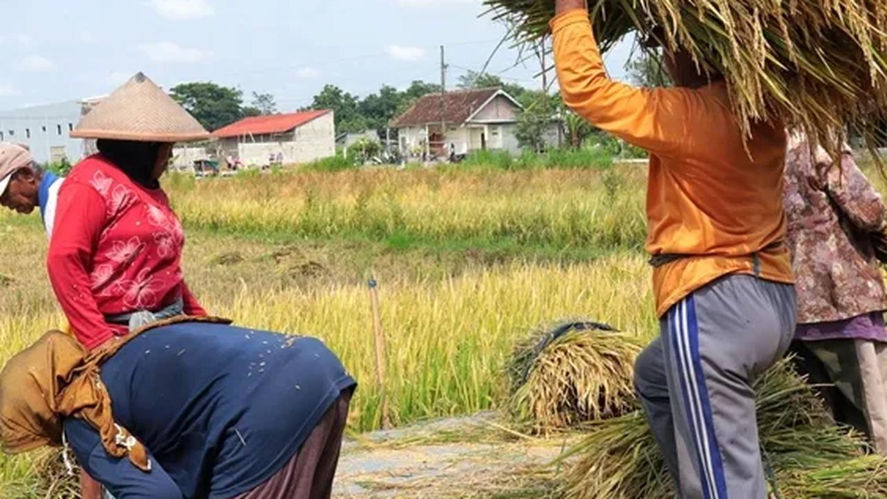 Badan ini merupakan peleburan tiga lembaga di bawah Kementerian Pertanian, Kementerian Kelautan dan Perikanan, serta fungsi Pengawasan KSDAE Kementrian LHK di tempat pemasukan dan pengeluaran.