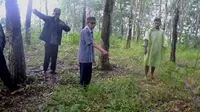 Lokasi diduga kuburan massal PKI di Tanah Kafir, Cipari, Cilacap, Jawa Tengah. (Foto: Liputan6.com/Muhamad Ridlo)