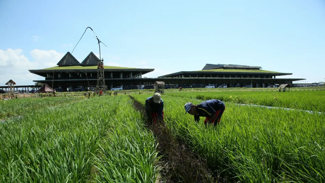 Banyuwangi
