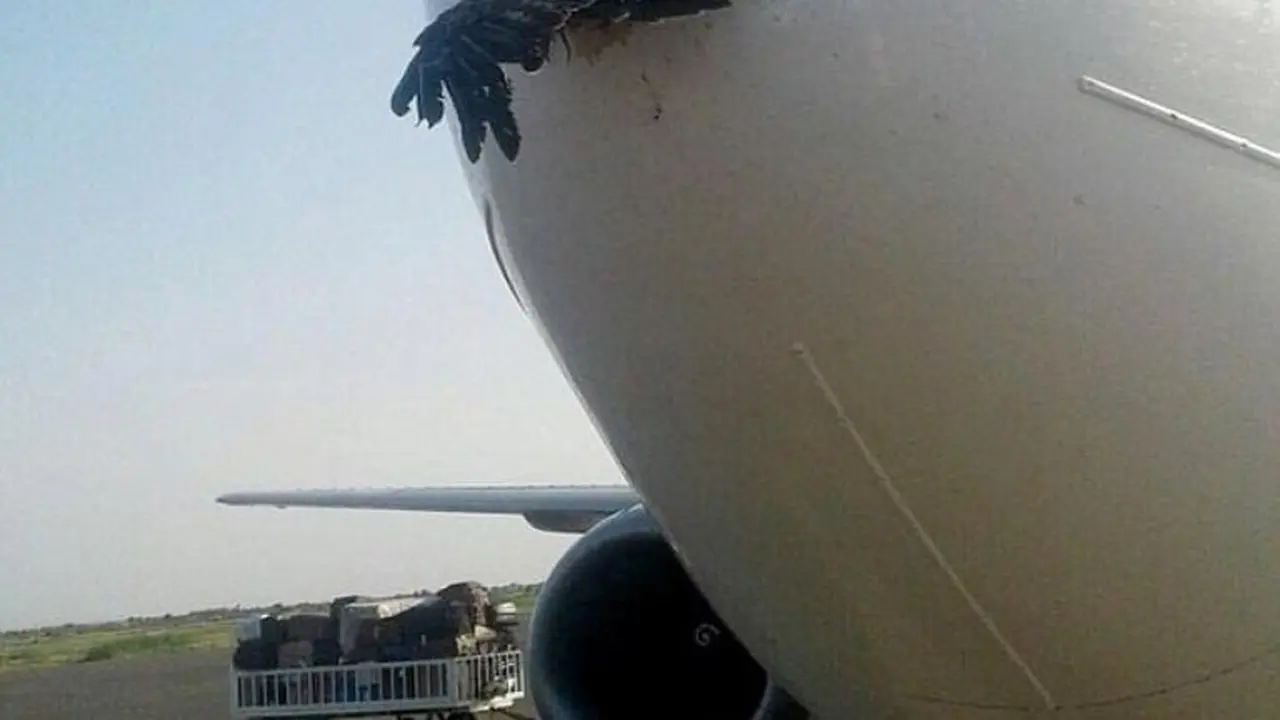 Tabrak Pesawat, Elang Buat Tarco Air Mendarat Darurat di Sudan