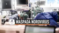 THUMBNAIL NOROVIRUS
