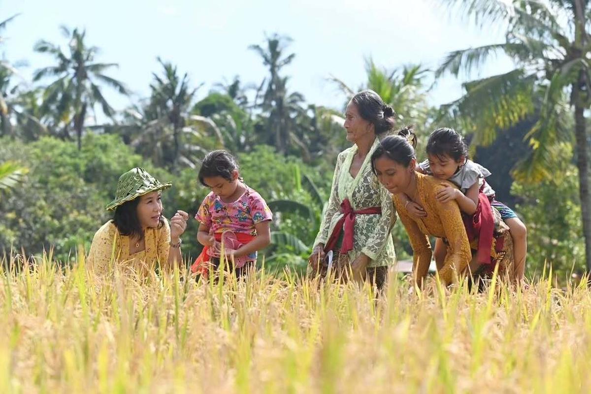 Penampilan Cantik Veronica Tan Turun ke Sawah Petik Padi, Bicara Soal Ibu Rumah Tangga jadi Sorotan