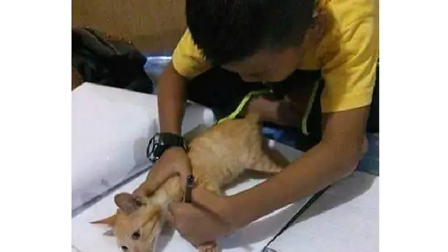 10 Aksi Kocak Anak-anak ini Bikin Kangen Masa Kecil