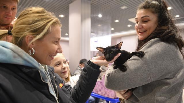 Kontes Kucing Internasional di Rusia