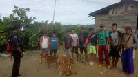 10 Hari Hilang di Hutan, Keberadaan 2 Bocah Asal Parimo Masih Misterius