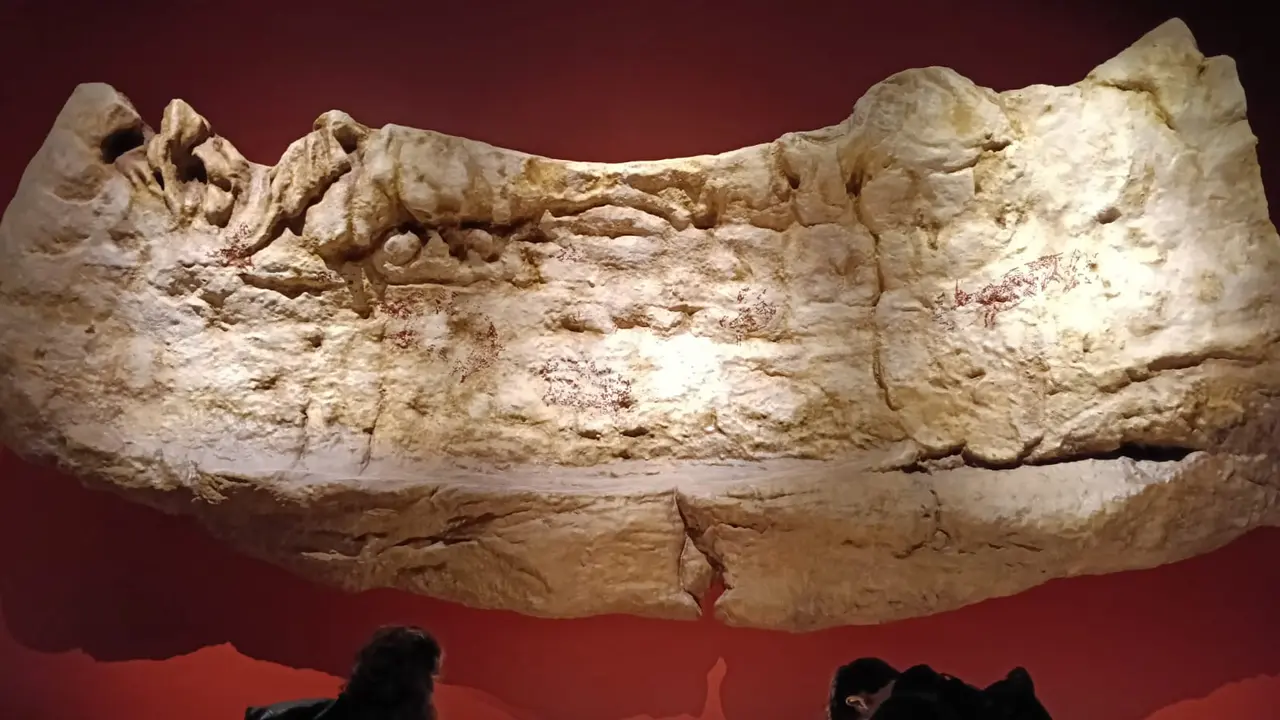 Fosil Java Man Pulang Kampung Setelah 130 Tahun, Dipajang di Museum Nasional Indonesia