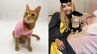 Rajin Ikuti Kuliah Daring, Kucing Ini Diajak Wisuda Pemiliknya Lengkap Pakai Toga (Sumber: Instagram/francescabourder)