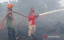 Sudah 2 Hektar Lahan Sawit Terbakar Sejak Selasa, BPBD Nagan Raya Berjibaku Padamkan Api di Suak Puntong