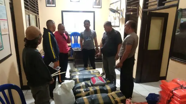 Pelaku Penyelundupan Bayi Lobster Masih Marak di Jawa Barat