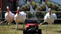 New York Perketat Pengamanan di Tengah Perayaan Thanksgiving