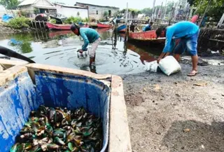 Laut Tarumajaya Bekasi Diduga Tercemar (Antara)