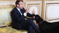 Presiden Prancis Emmanuel Macron bersama anjing peliharaannya, Nemo di Elysee (AFP)