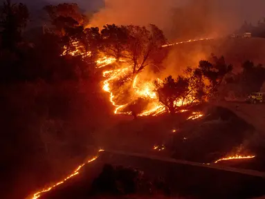Kebakaran Hutan di California: Api membakar lereng bukit di kawasan Sonoma, California, Amerika Serikat pada 26 Oktober 2019. Kebakaran hutan kian tak terkendali akibat angin kencang yang bertiup. (AP Photo/Nuh Berger)