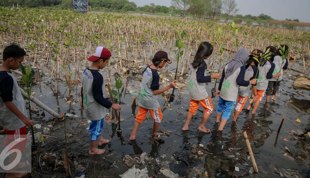 Siswa siswi membawa bibit mangrove untuk di tanam di Pesisir Pantai Muara Karang, Jakarta, Kamis (29/10). 5.000 bibit baru ditanam untuk memperkuat ekosistem yang telah dibangun dan memperbesar manfaat terhadap masyarakat. (Liputan6.com/Faizal Fanani)