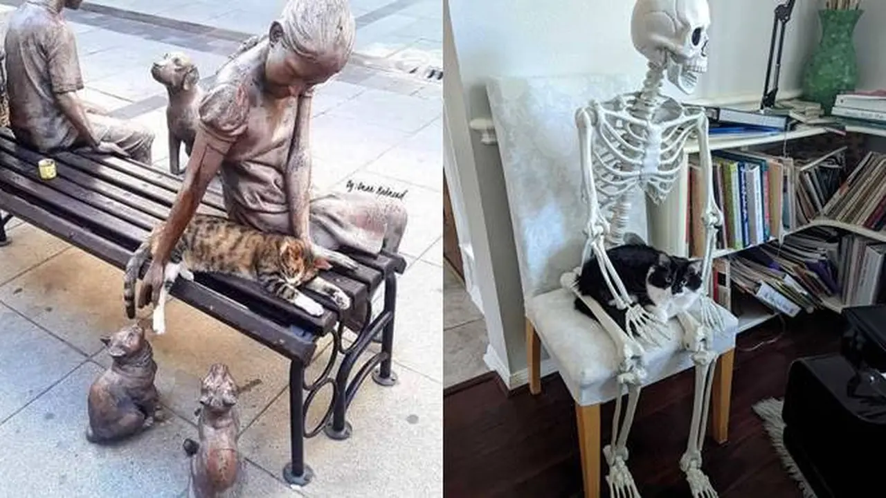 6 Potret Lucu Kucing saat Pose Bareng Patung Ini Bikin Gemas