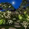 11 Tanaman yang Cocok untuk Ide Moon Garden, Taman Cantik dan Bercahaya di Malam Hari