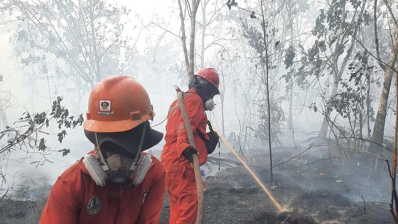 Pemerintah membuka peluang kembali menggelar Operasi Modifikasi Cuaca (OMC) untuk membantu mengatasi kebakaran hutan dan lahan. (Dok: Kemenhut)
