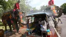 Seekor gajah menyemprotkan air kepada wisatawan yang menaiki mobil saat perayaan tahun baru kuno Thailand atau Songkran di provinsi Ayutthaya, Thailand (11/4). (AP Photo/Sakchai Lalit)