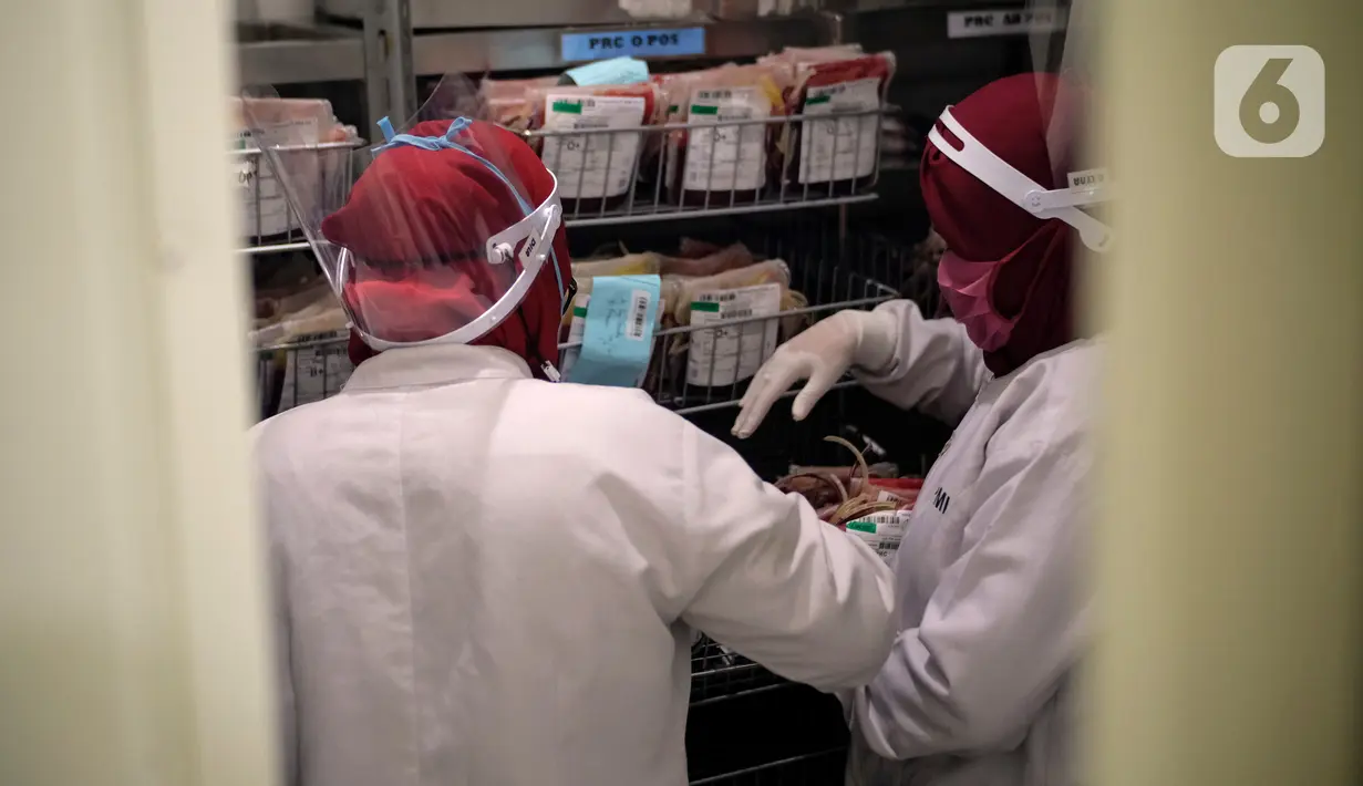 Staf Laboratorium Palang Merah Indonesia (PMI) Kota Tangerang melakukan pendataan stok darah yang ada di Laboratorium PMI Kota Tangerang, Banten, Jumat (28/8/2020). Kurangnya stok darah salah satunya karena pandemi COVID-19 yang menyebabkan berkurangnya pendonor. (Liputan6.com/Angga Yuniar)