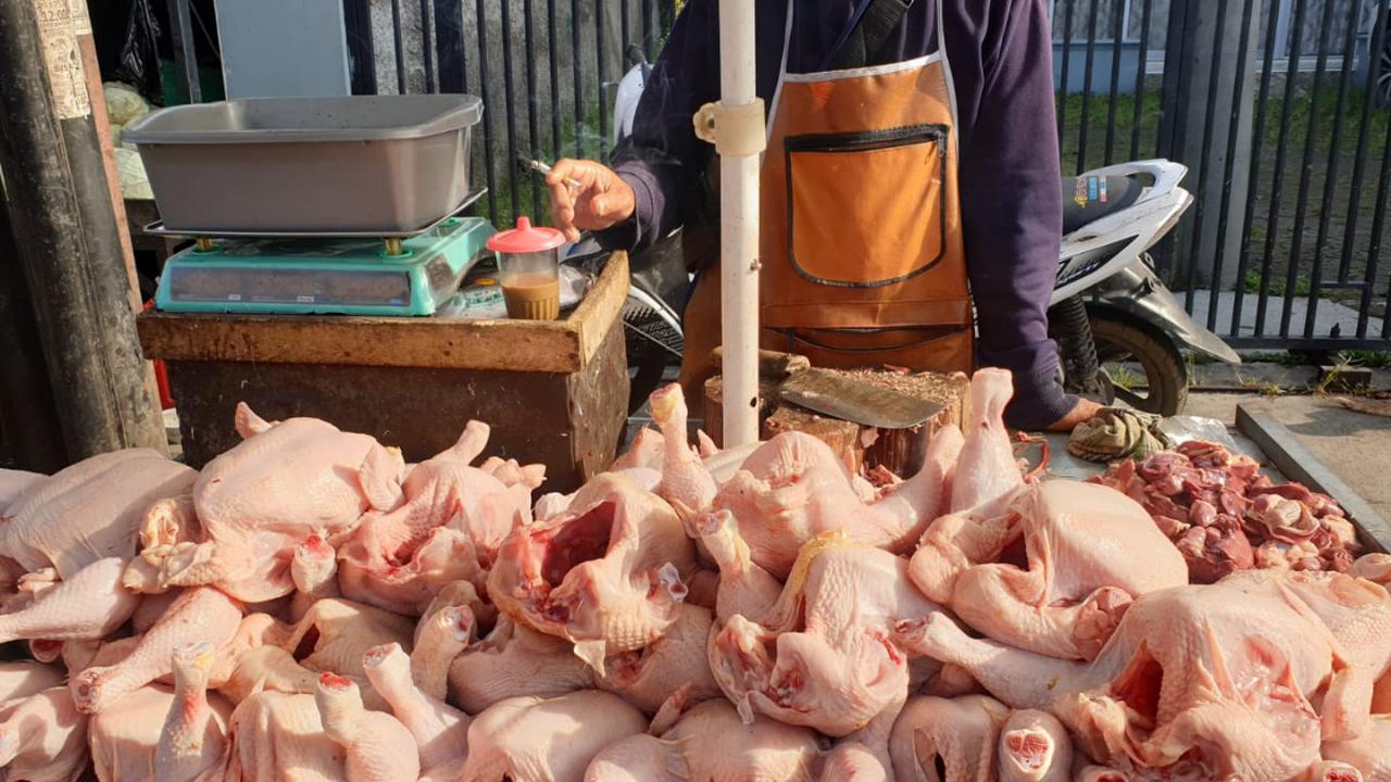 Dibandingkan dengan harga kebutuhan pokok yang alami kenaikan harga, harga ayam tidak mengalami peningkatan.<br>