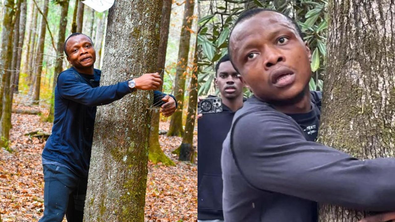 Pria Pria Peluk Ribuan Pohon dalam Sejam