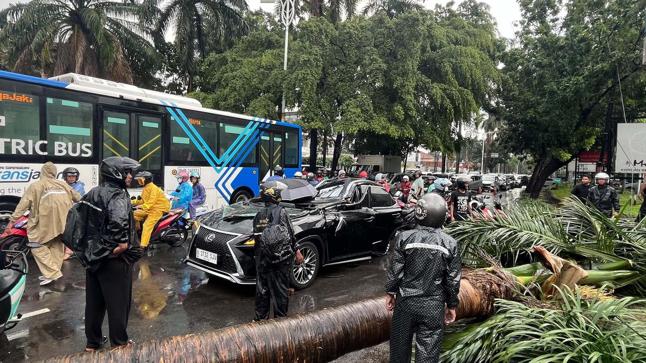 Masuk Musim Hujan, DPRD DKI Dorong Pemprov Tingkatkan Kesiapsiagaan Banjir dan Pohon Tumbang