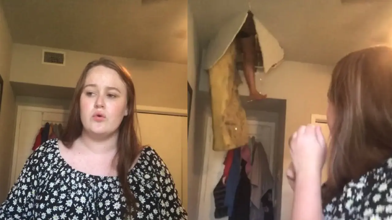 viral tiktok