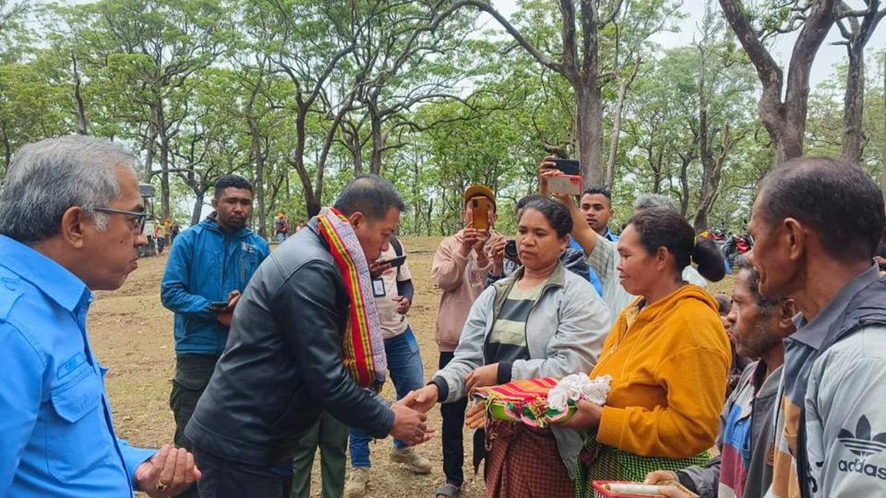 Ritual Sanksi Adat Akibat Langgar Kawasan Hutan Lindung
