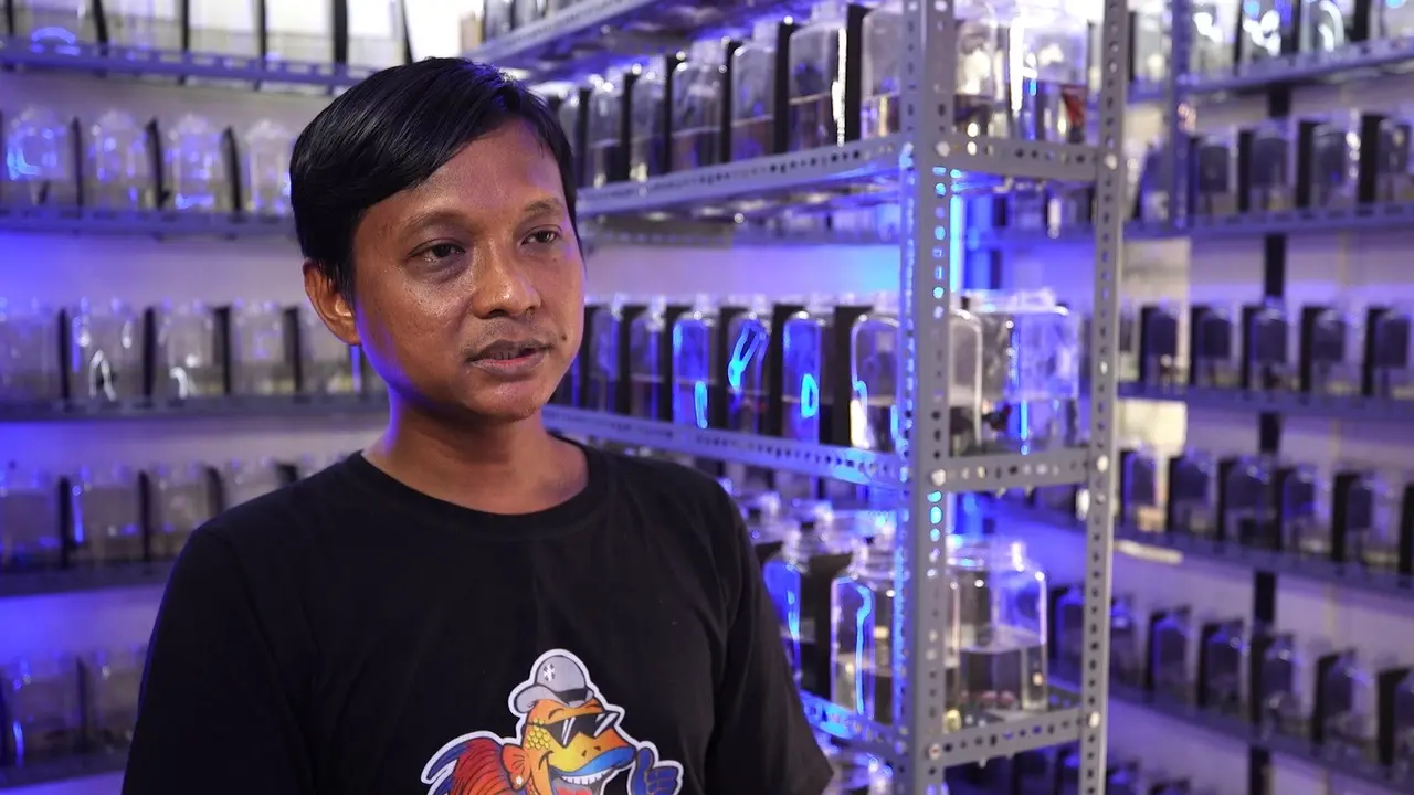 Penjual Ikan Cupang, Agung Sriyono