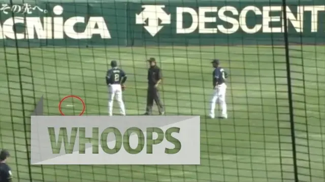 WHOOPS: Pertandingan Baseball Ini Dihentikan karena Insiden Ikan Jatuh dari Langit