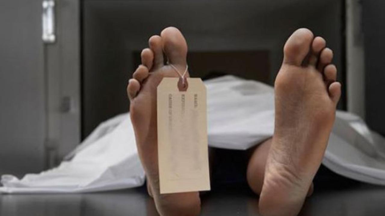 Kronologi Penyerangan KKB Bumiwalo Telenggen yang Tewaskan Anggota Polres Puncak Jaya