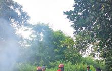 Manggala Agni Intensifkan Pemadaman Karhutla Singkawang Utara di Lahan Gambut