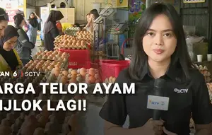 MBG Setop saat Libur Sekolah, Harga Telur Ayam Anjlok Lagi