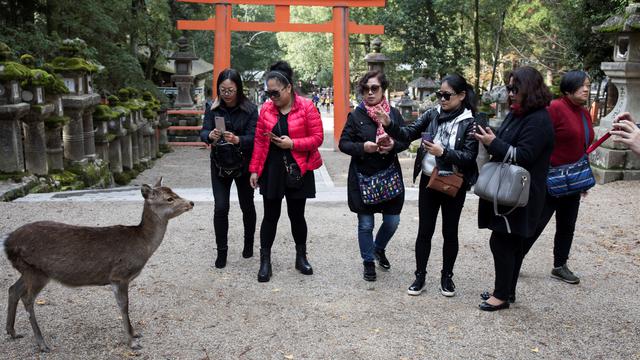 Taman Nara, Jepang