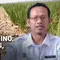 Dampak El Nino: Lebih Kering, Lebih Lama