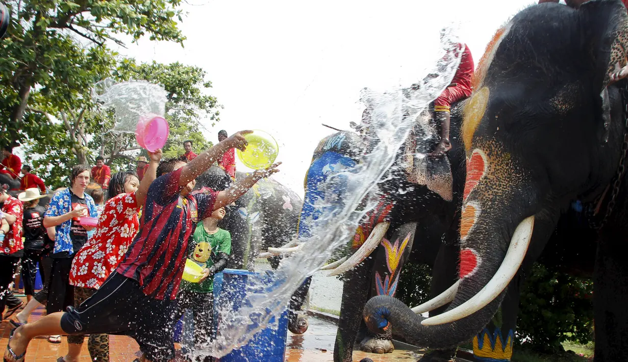 Seorang anak melempar air dalam baskom ke arah gajah saat festival air Songkran di Ayutthaya, Bangkok, Thailand (10/4/2015). Festival air songkoran menandai dimulainya Tahun Baru tradisional Thailand. (REUTERS/Chaiwat Subprasom)