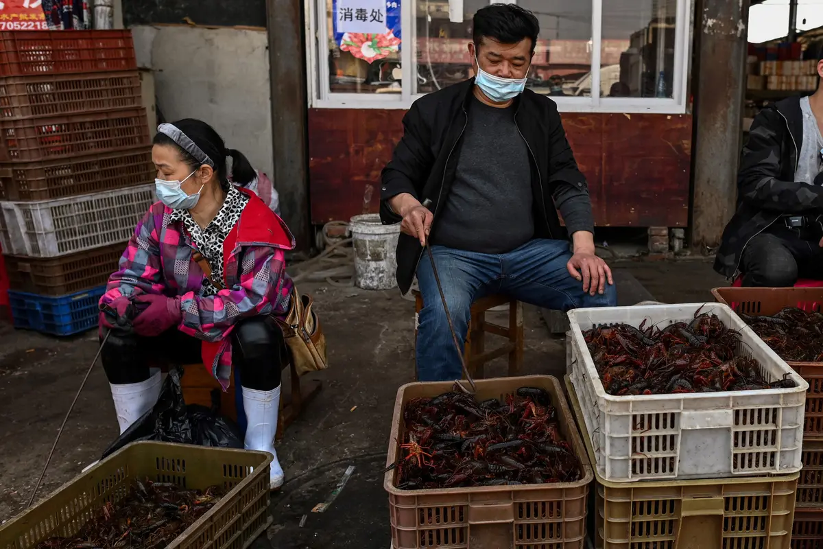 China Kembali Buka Pasar Basah Wuhan