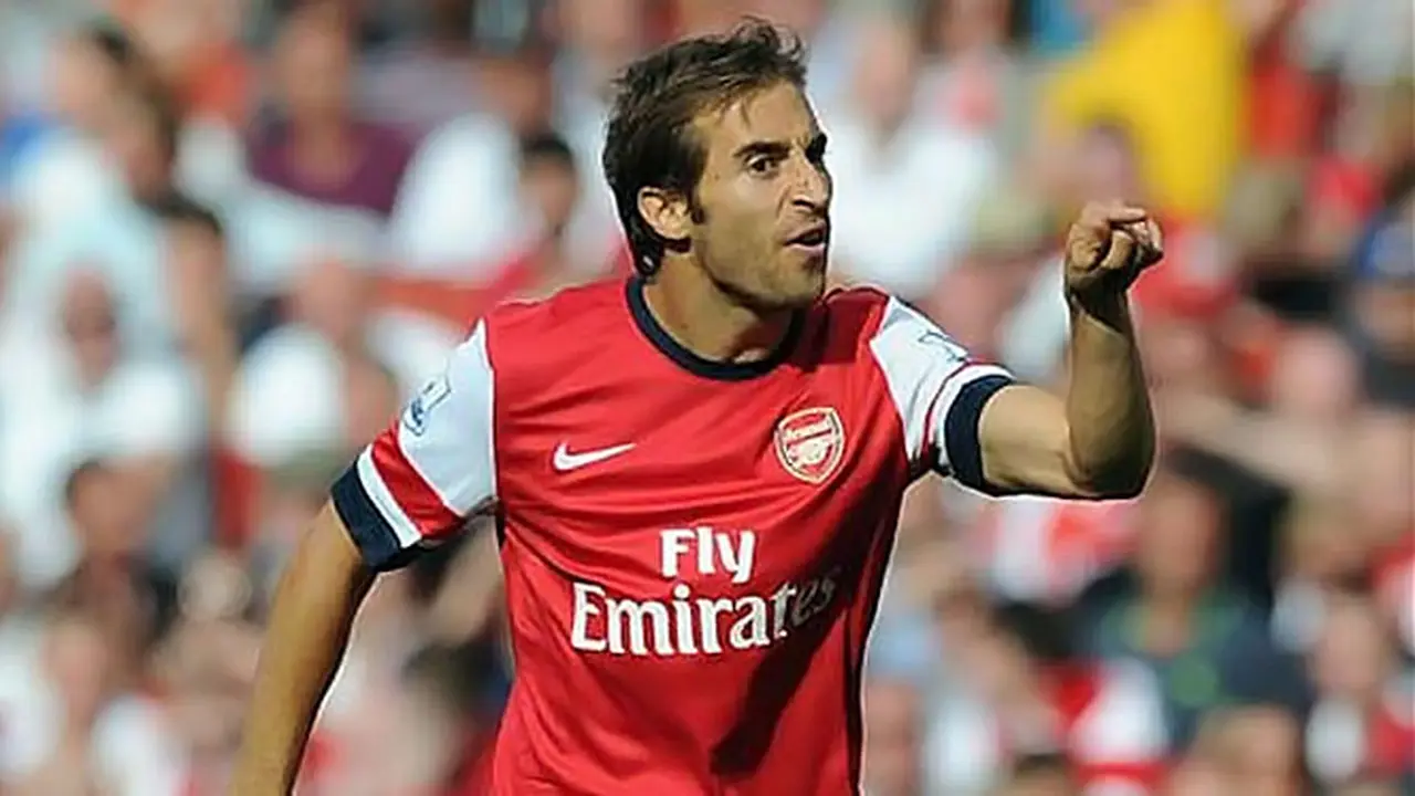 mathieu-flamini-130907b.jpg