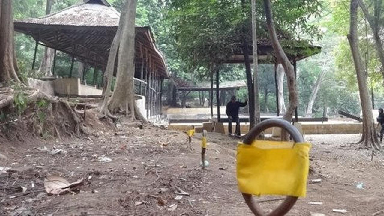Mengunjungi wisata arena adu domba di hutan Kota Bandung